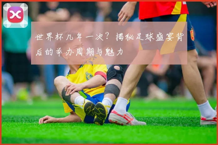 世界杯几年一次?揭秘足球盛宴背后的举办周期与魅力