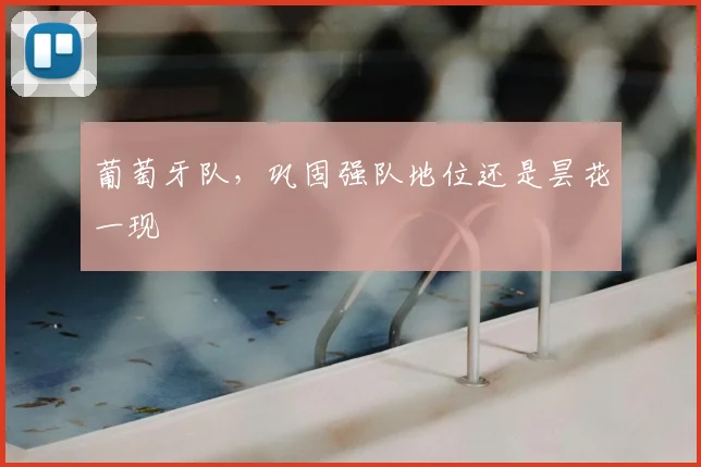 葡萄牙队,巩固强队地位还是昙花一现